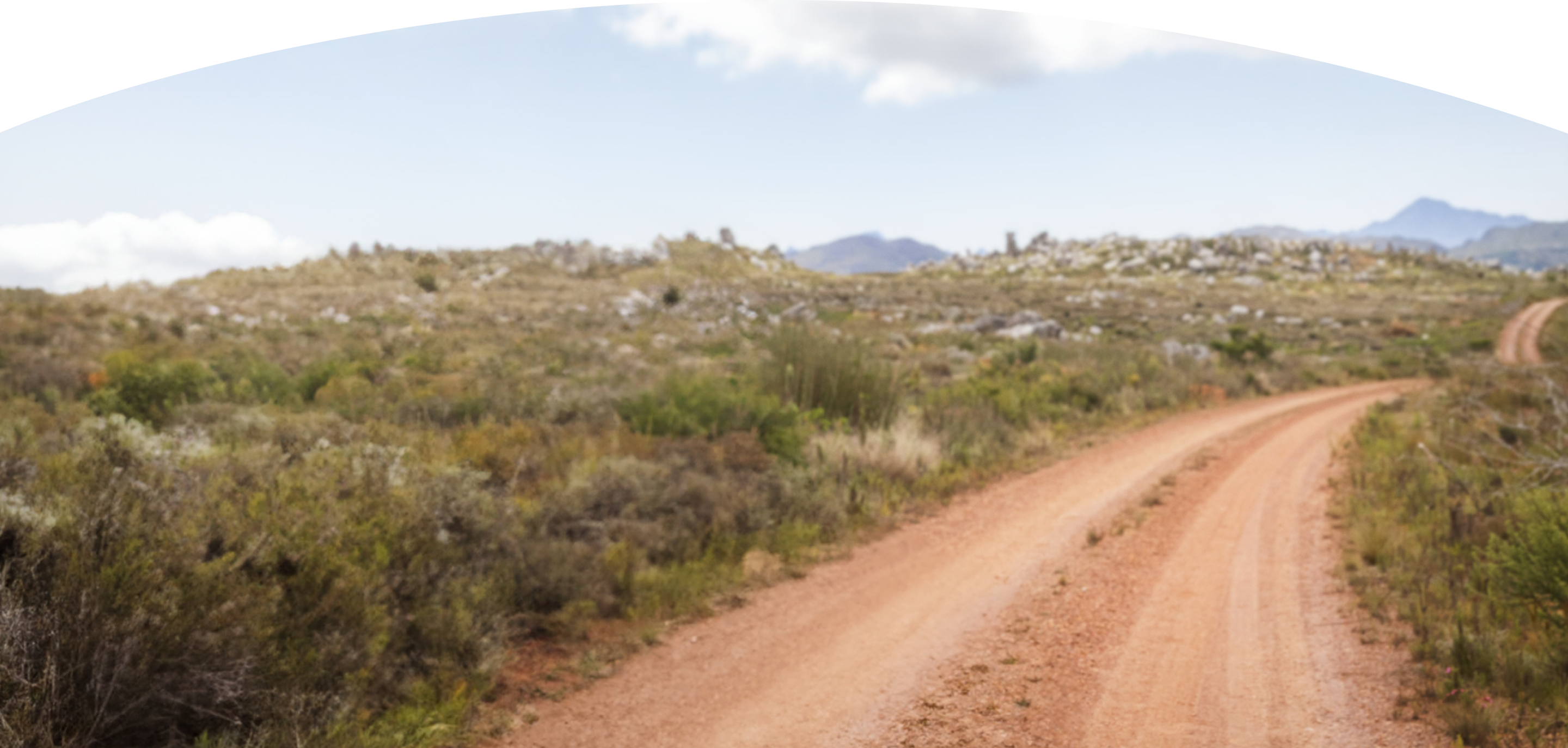 Dirt path lined with greenery and mountains in the distance
